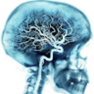 Meet your Posher, Russell